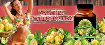Garcinia Cambogia Veda - užitočný - v lekárni - výsledok